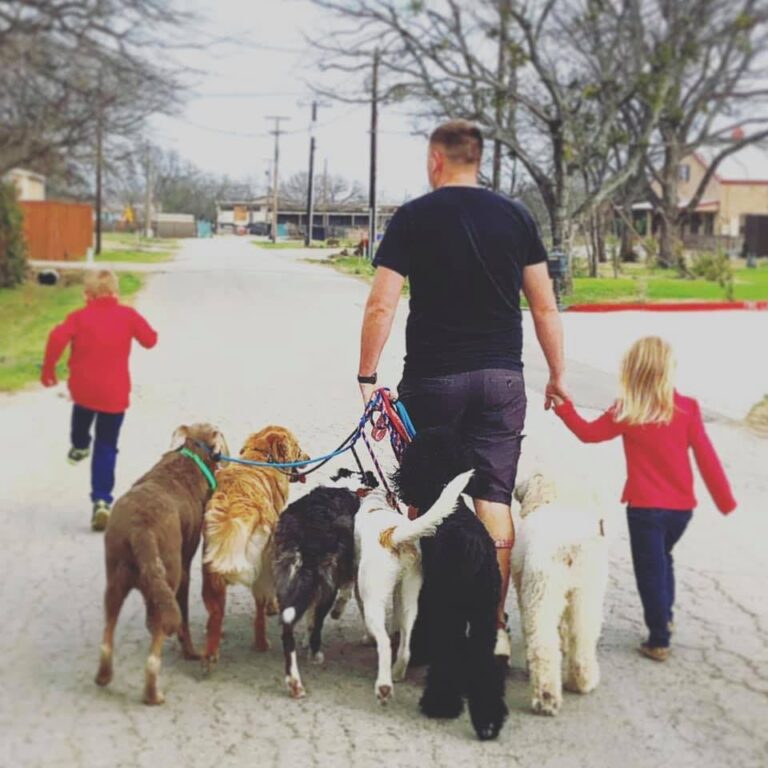 Quinn and kids walking a group of client's dogs